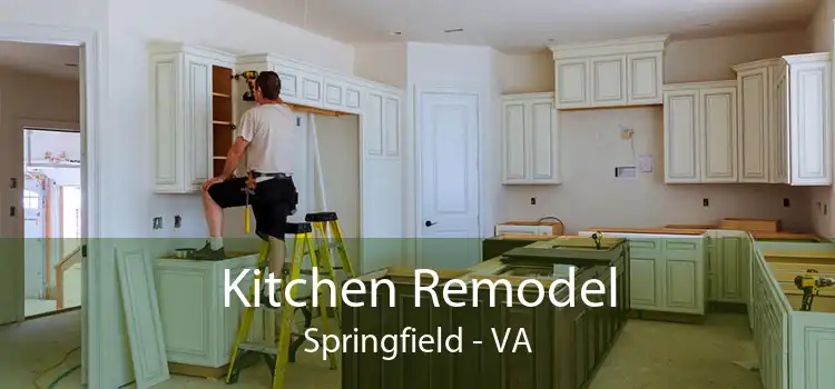 Kitchen Remodel Springfield - VA