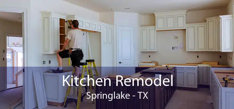 Kitchen Remodel Springlake - TX