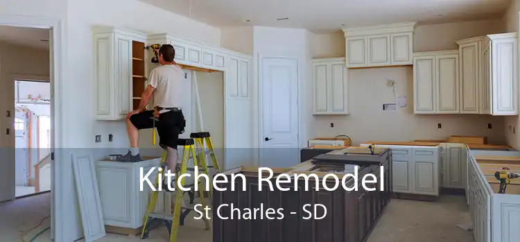 Kitchen Remodel St Charles - SD