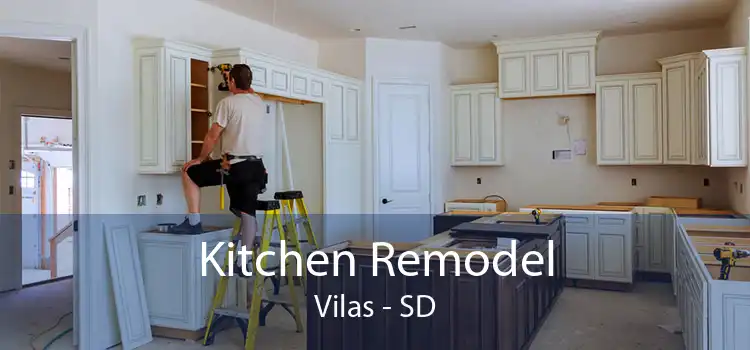 Kitchen Remodel Vilas - SD