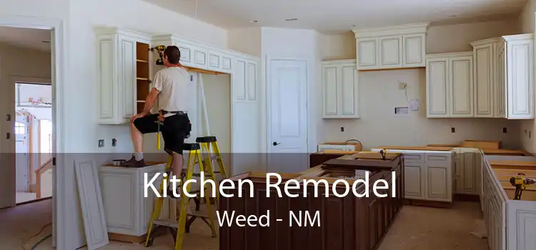 Kitchen Remodel Weed - NM