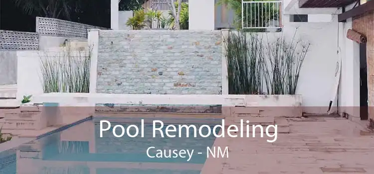 Pool Remodeling Causey - NM