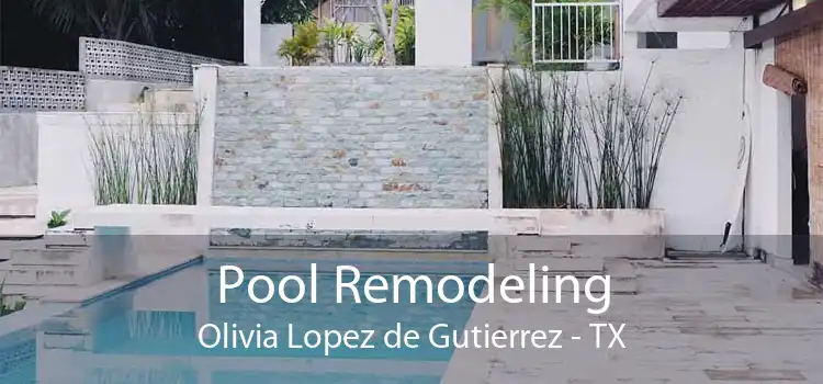 Pool Remodeling Olivia Lopez de Gutierrez - TX