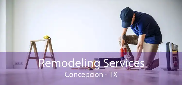 Remodeling Services Concepcion - TX