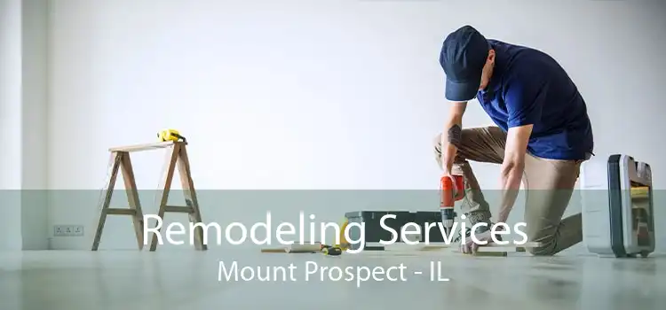 Remodeling Services Mount Prospect - IL