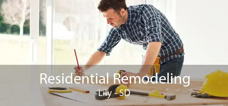 Residential Remodeling Lily - SD